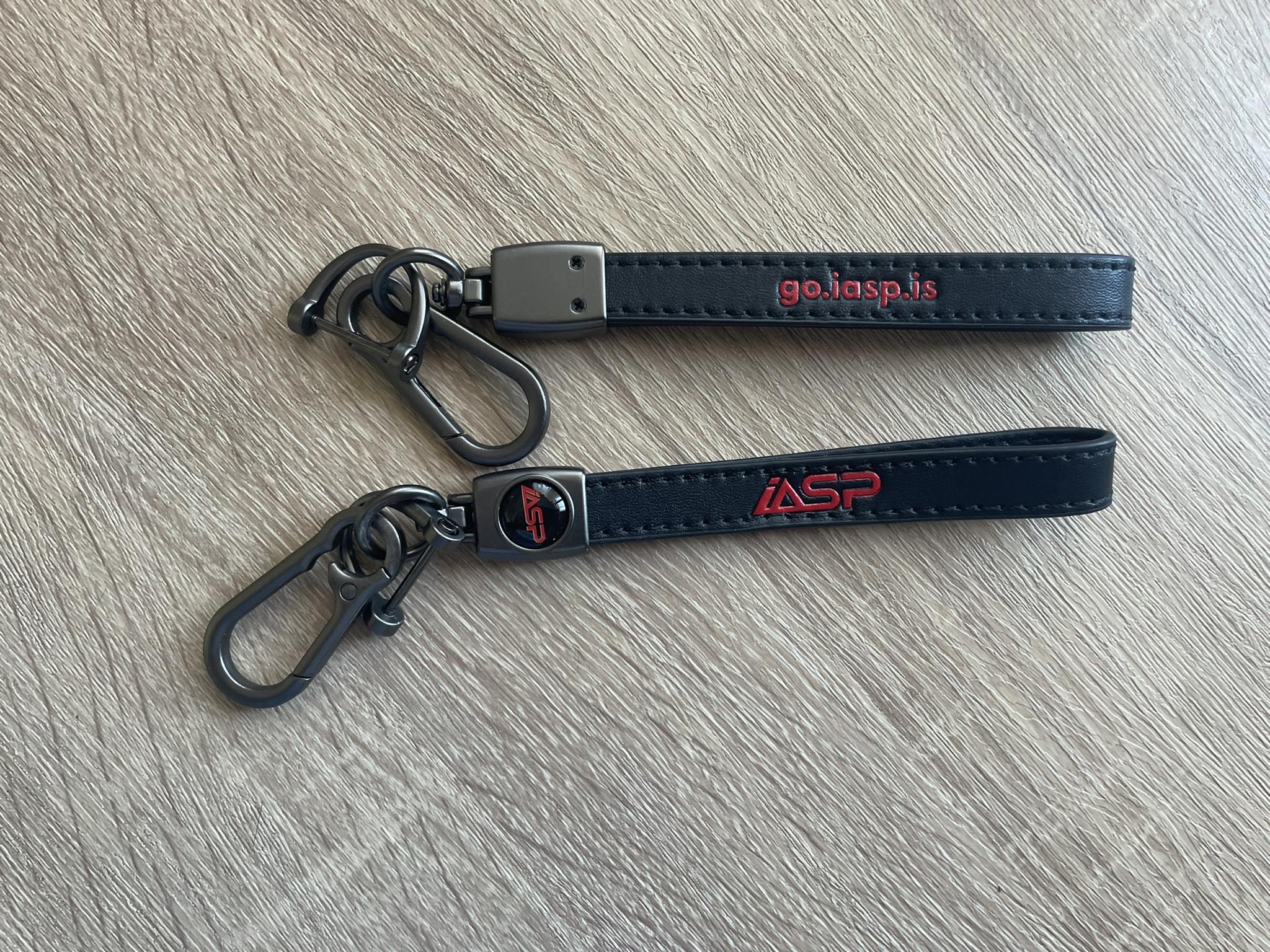 IASP KEYCHAIN - Image 3