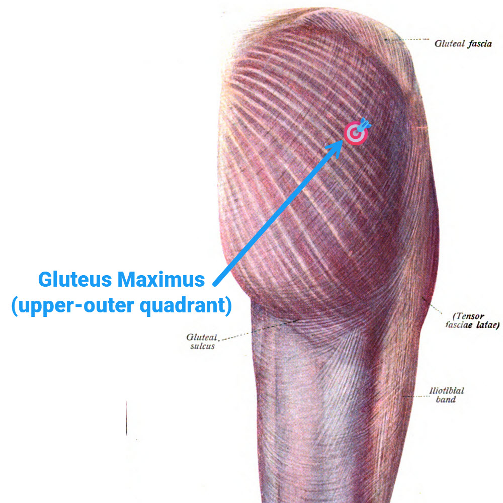 glutes-instructions
