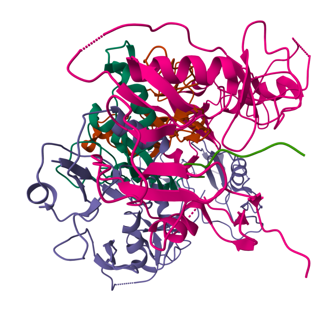 Follistatin_344-nobg Follistatin_344-nobg